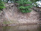IMG 4384